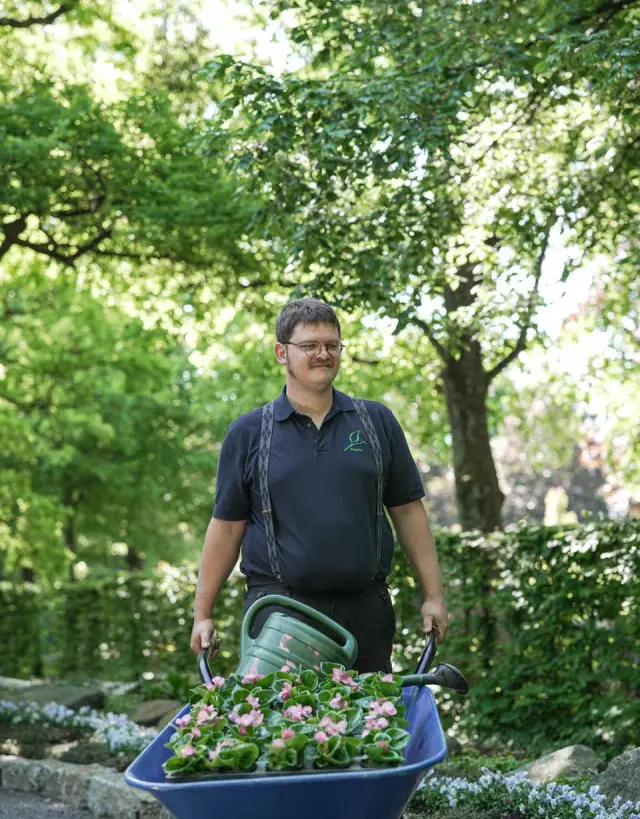 Johannes Siegele schiebt eine Schubkarre mit blühenden Pflanzen über einen Friedhofsweg