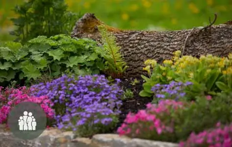 Blühendes Beet in Violett, Pink und Gelb vor einem liegenden Baumstamm