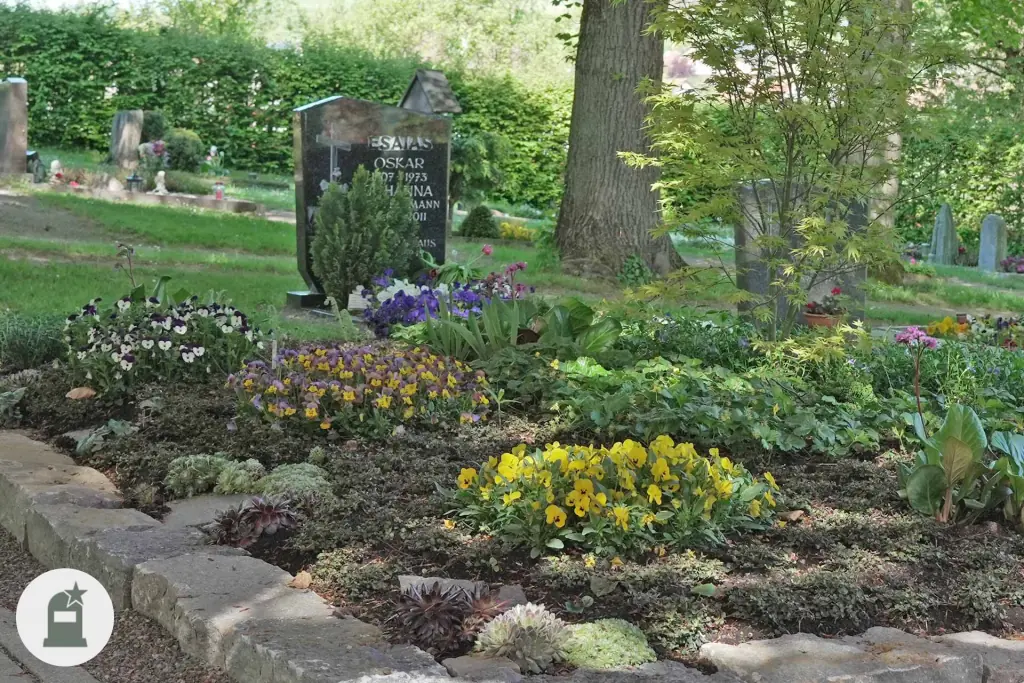 Grabfeld mit Steinkante und gelben und violetten Frühlingsblumen