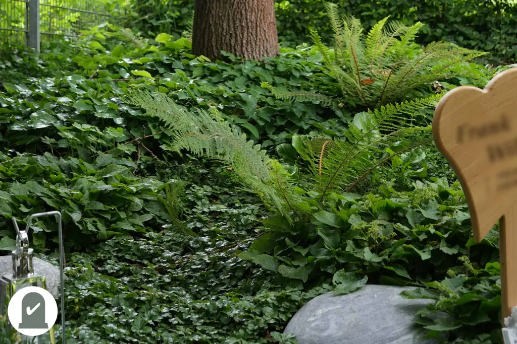 Farne und Bodendecker mit Holzherz als Grabzeichen