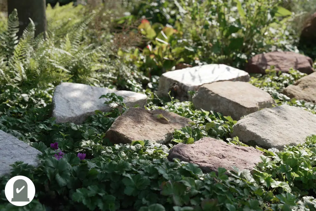 Liegende Natursteinplatten zwischen Farnen