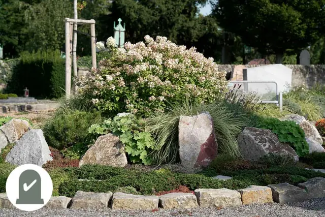 Grabbeet mit Hortensie, Findlingen und Steinkante
