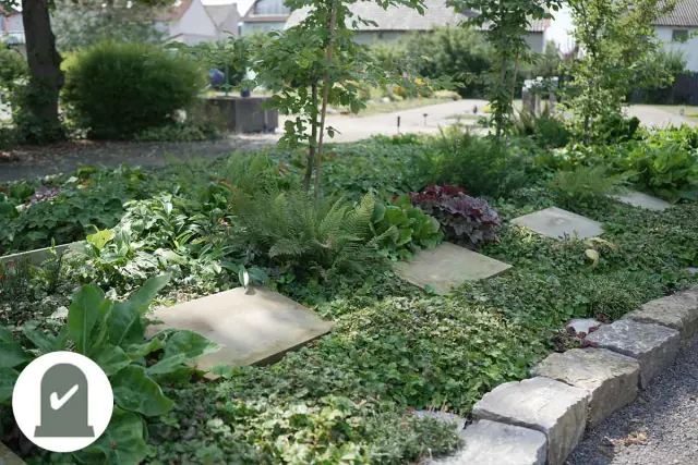 Grabfeld mit Liegeplatten und Stauden am Weg