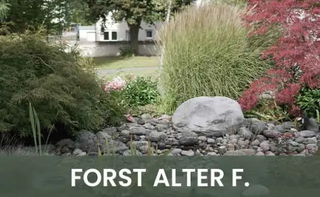 Forst (alter Friedhof)