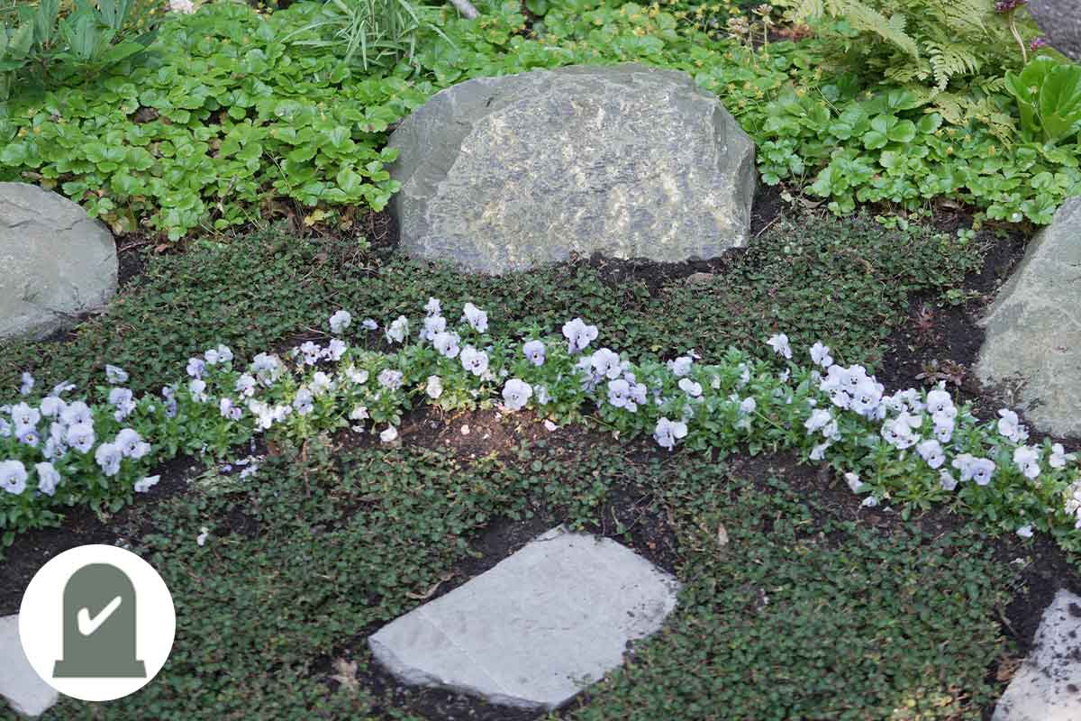 3a